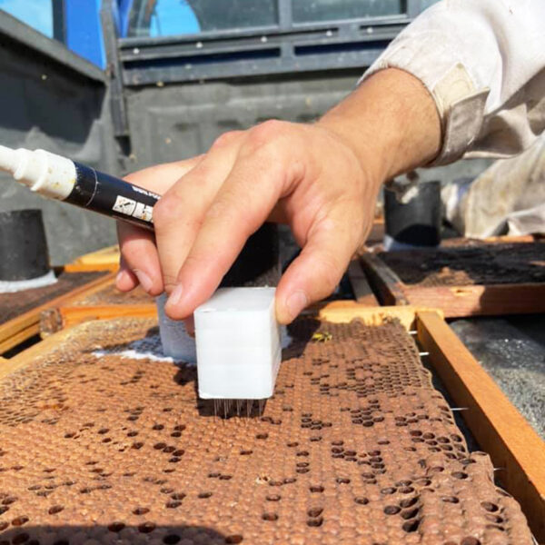 Testeur hygiénique : Pin Test à aiguilles