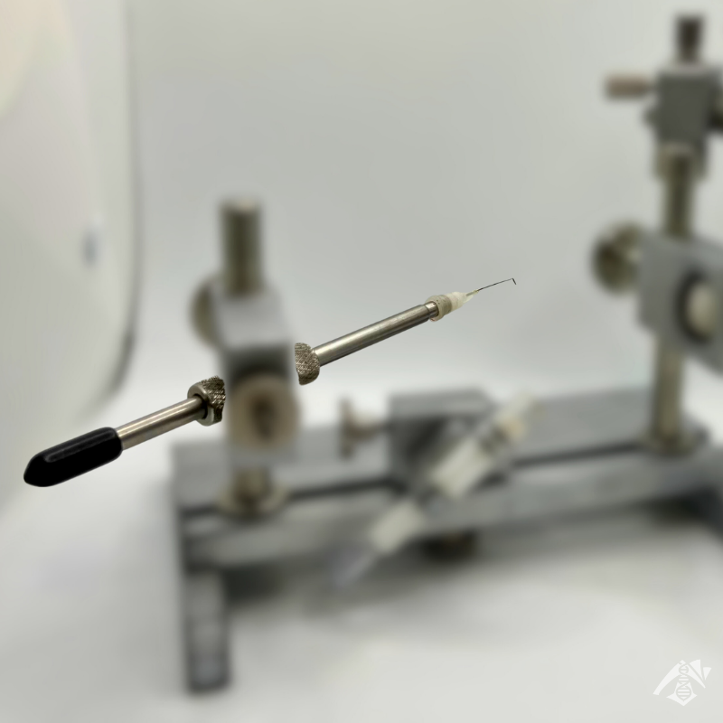 Sonde et crochet ventral pour insémination – Image 2